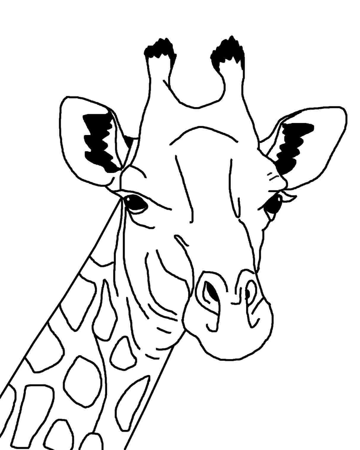 1213x1517 Cute Easy Giraffe Drawing - Cute Giraffe Drawing Tumblr