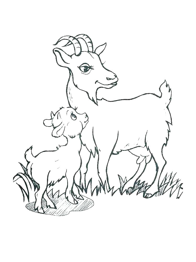 750x1000 goat coloring pictures drawing goat coloring pages color - Cute Goat Drawing