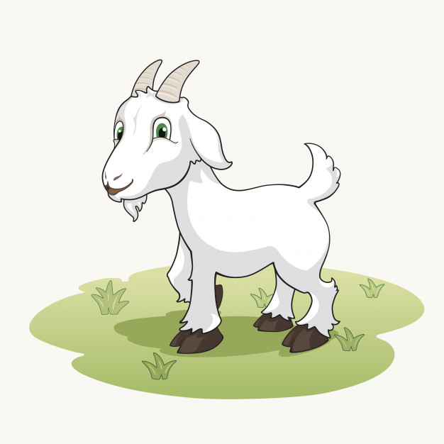 626x626 Goat Vectors, Photos And Free Download - Cute Goat Drawing