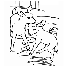 230x230 Top Free Printable Goat Coloring Pages Online - Cute Goat Drawing