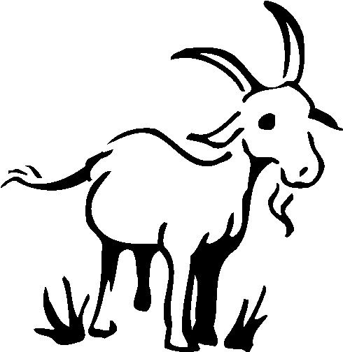 490x504 Goat Drawing Vintage Clipart Free - Cute Goat Drawing