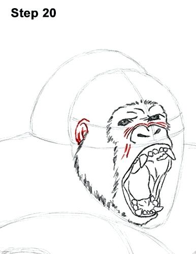 386x500 how to draw gorilla draw gorilla aggressive how to draw a cute - Cute Gorilla Drawing