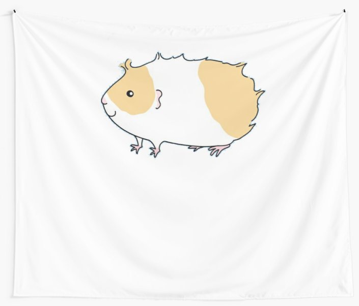 705x602 cute guinea pig - Cute Guinea Pig Drawings
