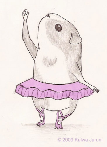 366x500 Kalwa's Drawings - Cute Guinea Pig Drawings