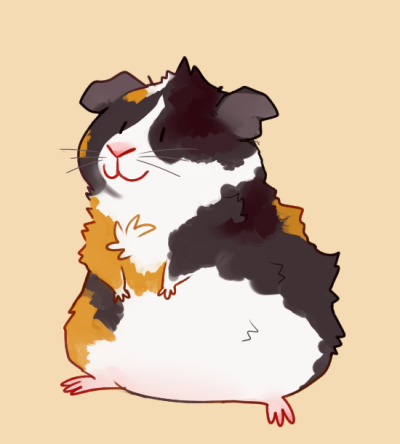 400x444 the daily guinea pig tumblr - Cute Guinea Pig Drawings