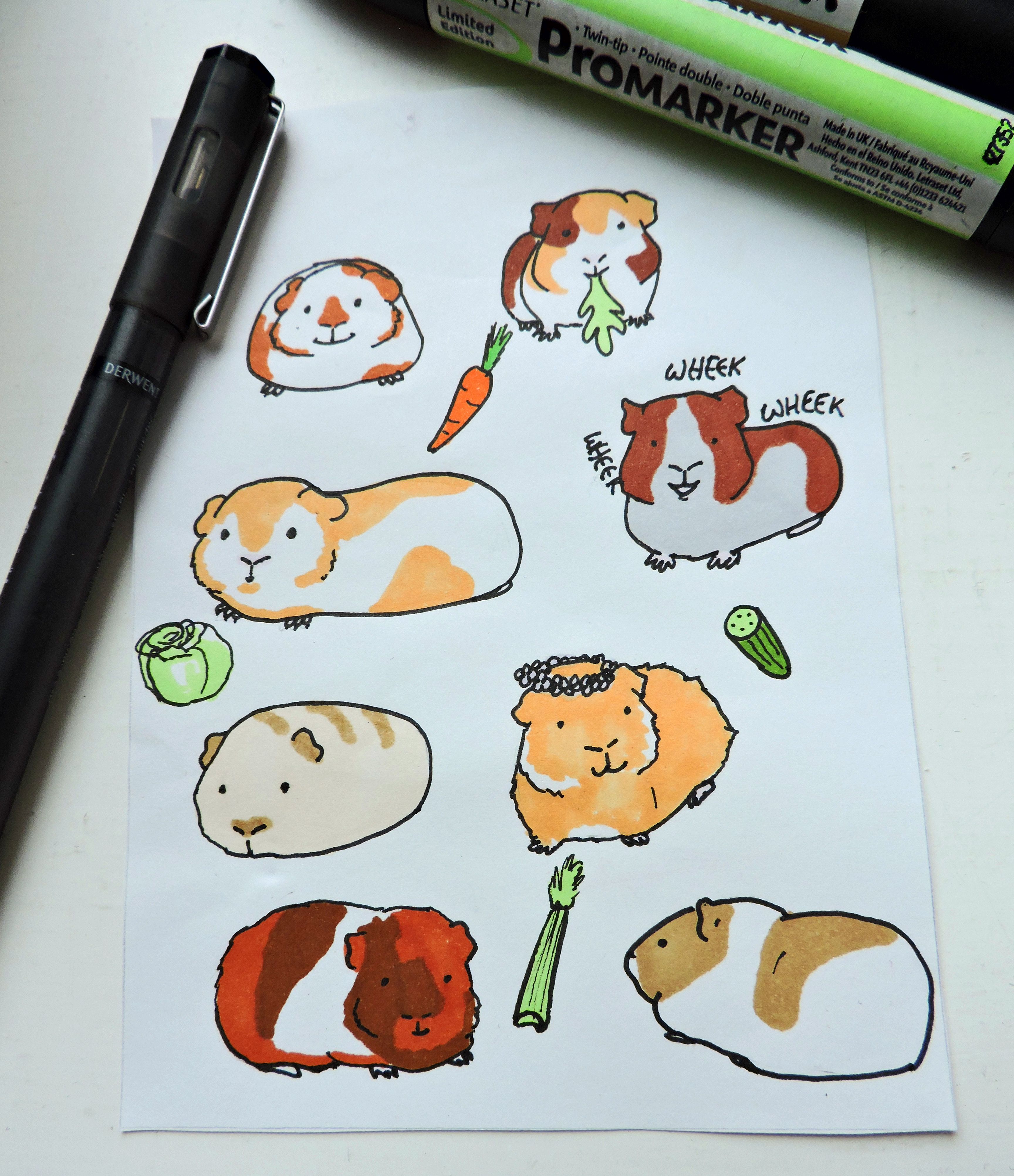 3456x4007 cute guinea pig stickers to decorate scrapbooks, diaries laptops - Cute Guinea Pig Drawings