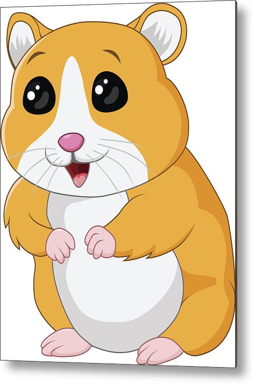494x750 cute hamster posing isolated on white background metal print - Cute Hamster Drawing