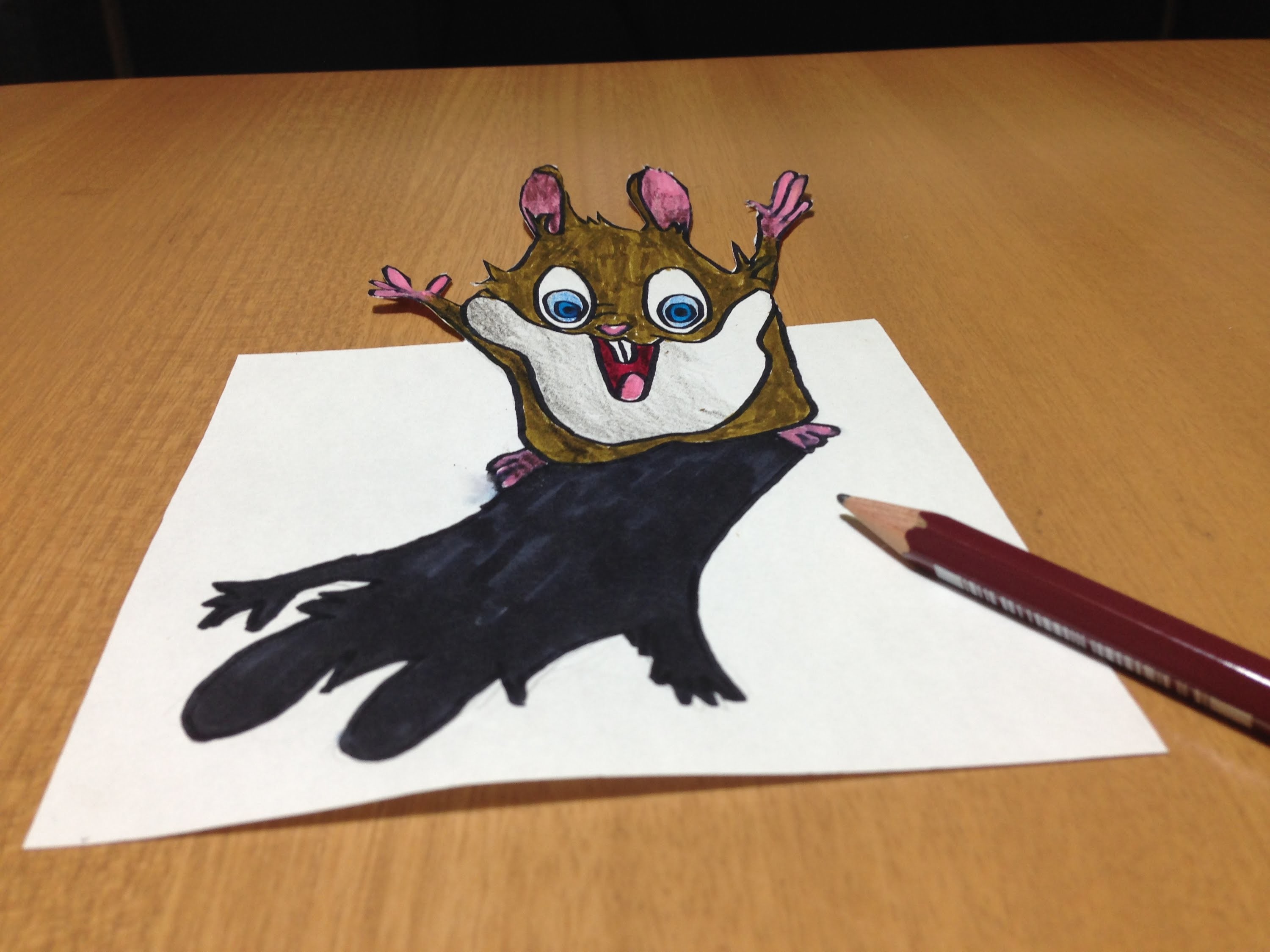 3000x2250 freehand cute hamster drawing, anamorphic illusion time lapse - Cute Hamster Drawing