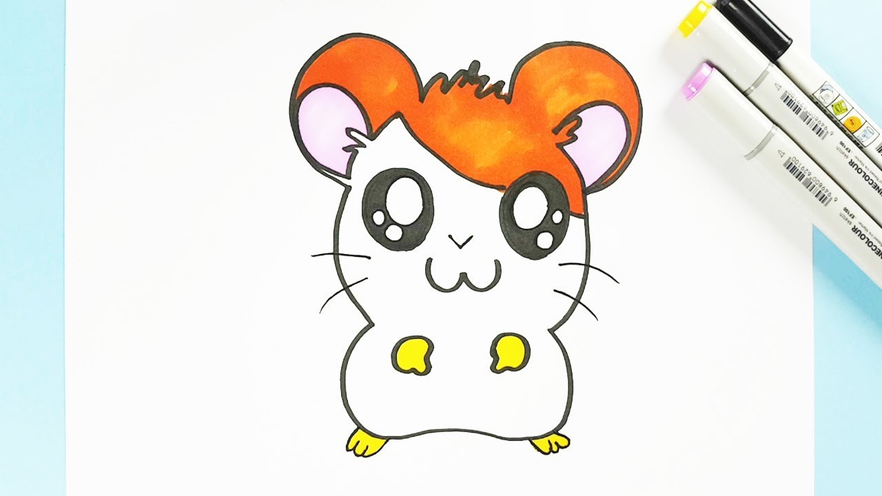 Cute Hamster Drawing at PaintingValley.com | Explore collection of Cute ...