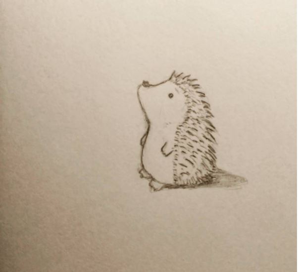 602x549 Cute Hedgehog Drawing - Cute Hedgehog Drawing