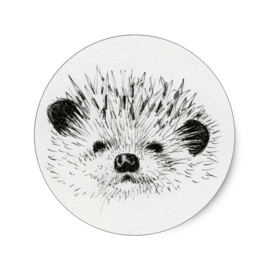 540x540 Cute Hedgehog Drawing Classic Round Sticker - Cute Hedgehog Drawing
