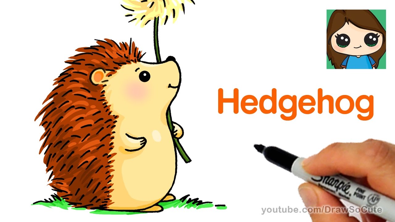 1280x720 How To Draw A Hedgehog Easy - Cute Hedgehog Drawing