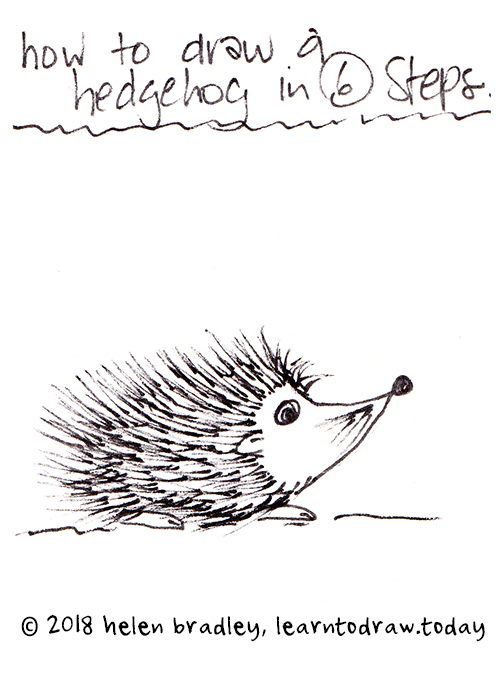500x691 Hedgehog Cute Learn To Draw - Cute Hedgehog Drawing