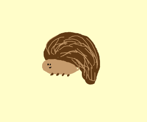 300x250 A Cute Hedgehog Drawing - Cute Hedgehog Drawing