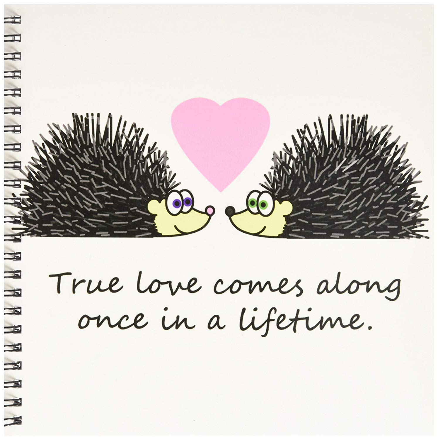 1495x1500 db true love comes along once - Cute Hedgehog Drawing