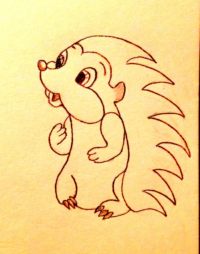 794x1006 Cute Hedgehog Drawing - Cute Hedgehog Drawing