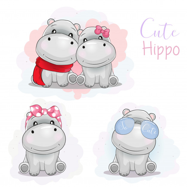 626x626 hippo vectors, photos and free download - Cute Hippo Drawing