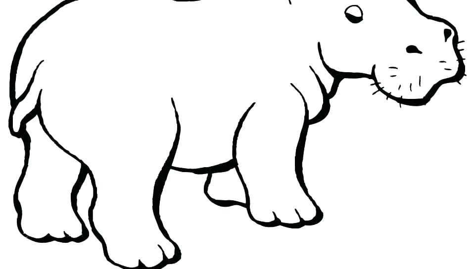 960x544 cut coloring pages baby hippo coloring pages cute hippopotamus - Cute Hippo Drawing