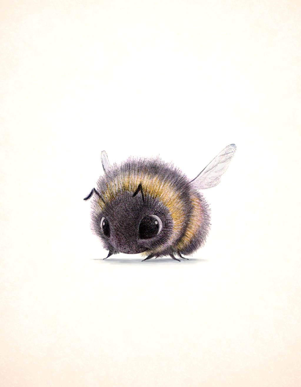 1023x1318 Cute Bumble Bee Drawing - Cute Honey Bee Drawing