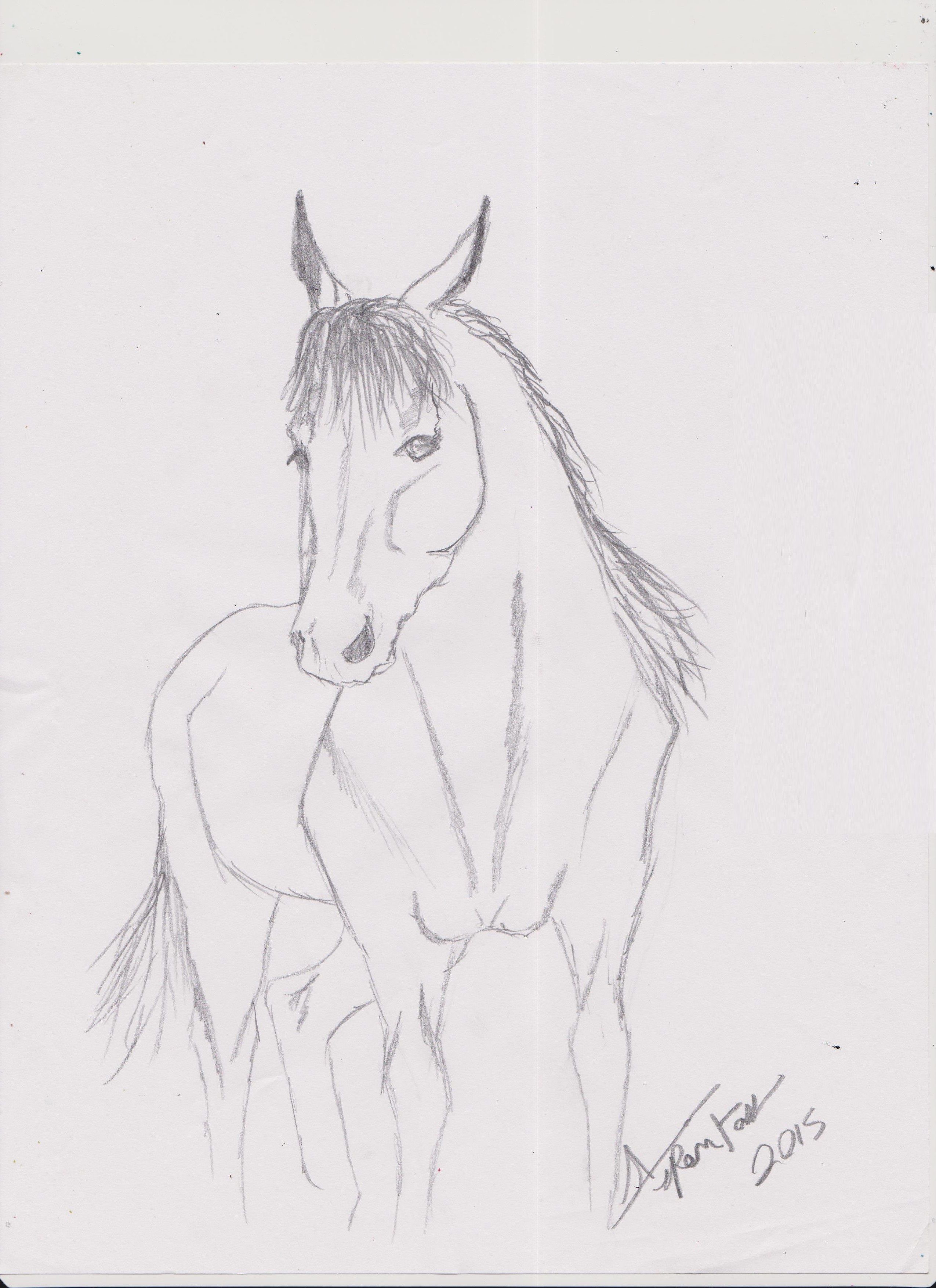 2550x3507 Cute Horse Drawing - Cute Horse Drawings