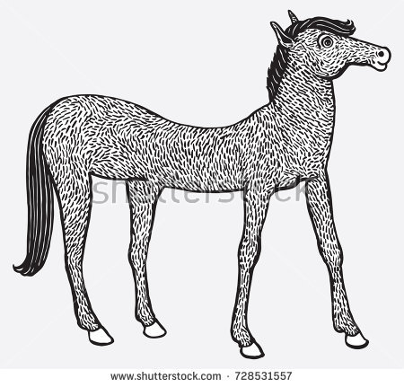 450x431 Cute Horse Drawings Vector Illustration Cute Horse Hand Made Stock - Cute Horse Drawings