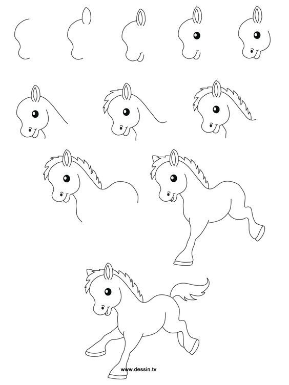 564x752 Easy To Draw Cute Horses - Cute Horse Drawings