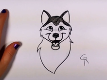 220x165 How To Draw A Cute Husky Dog - Cute Husky Drawing