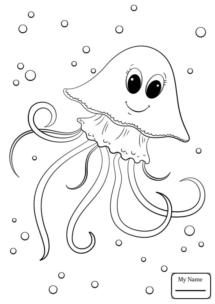 724x1024 Cute Jellyfish Drawing At Getdrawings Com Free For Personal Use - Cute Jellyfish Drawing