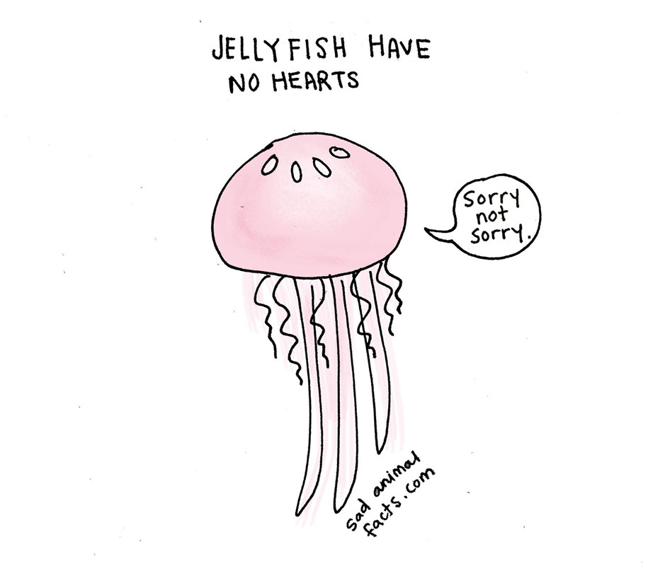 915x814 Sad Animals Facts That'll Make You Slightly Depressed - Cute Jellyfish Drawing