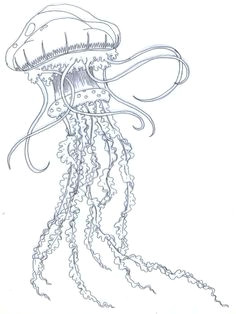 236x314 cute jellyfish drawing best realistic jellyfish tattoos images - Cute Jellyfish Drawing