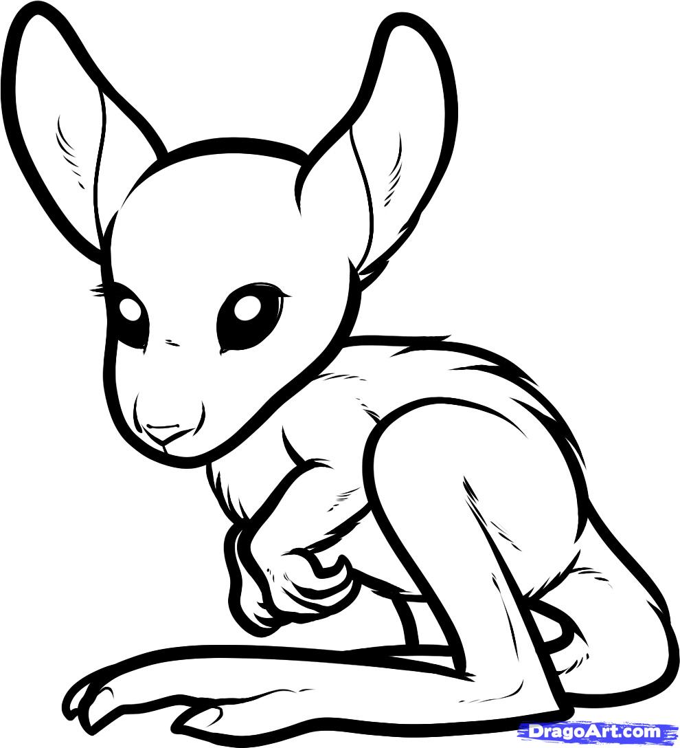 990x1088 Cute Baby Kangaroo Drawing - Cute Kangaroo Drawing