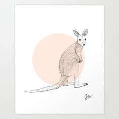 236x236 cute kangaroo drawing best kangaroo images cutest animals wild - Cute Kangaroo Drawing