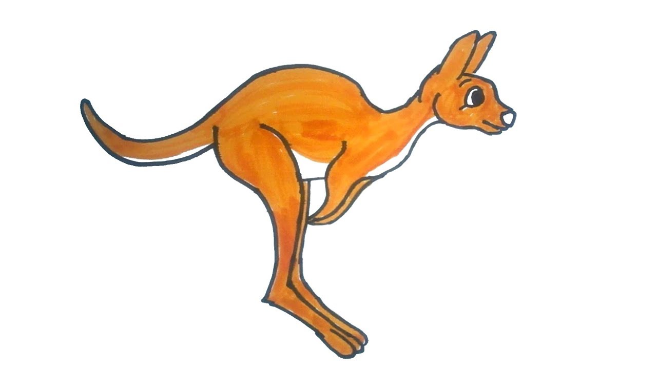 1280x720 kangaroo drawing how to draw a kangaroo easy step - Cute Kangaroo Drawing