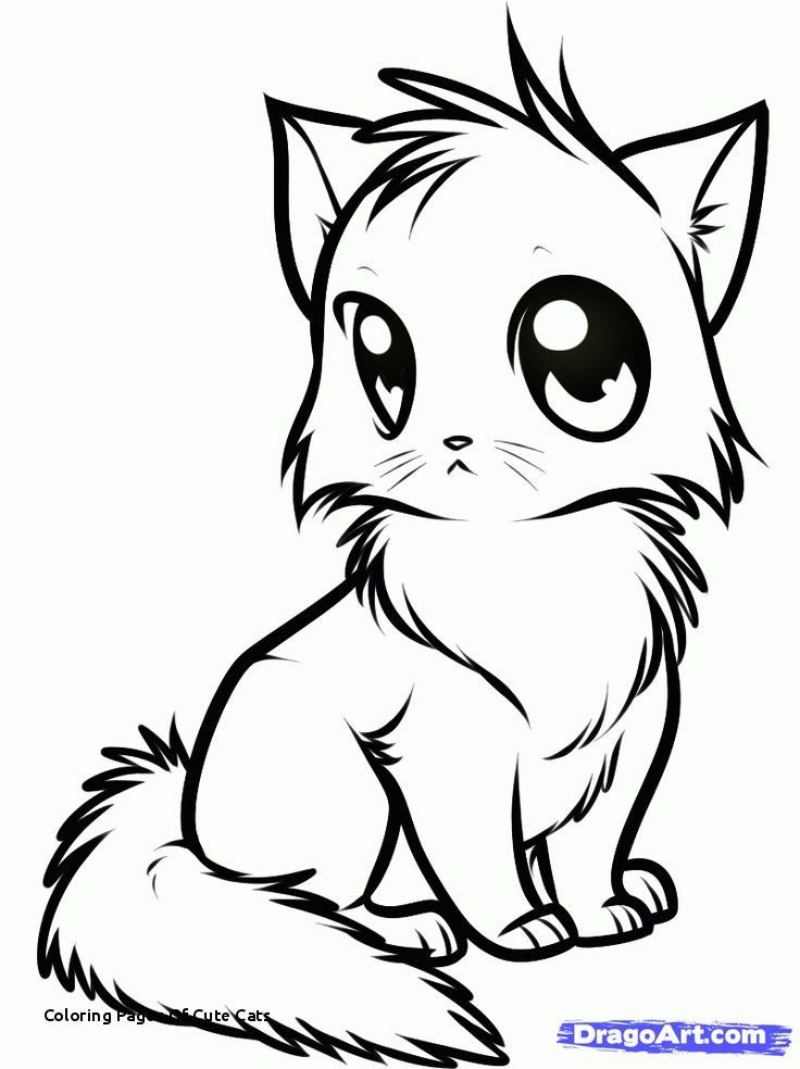 736x984 Puppy And Kitten Coloring Pages Lovely Coloring Pages Cute Cats - Cute Kitten Drawing