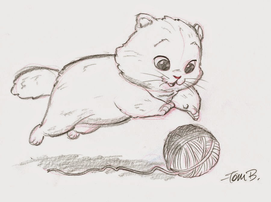 900x673 Kitten Drawings - Cute Kitten Drawing