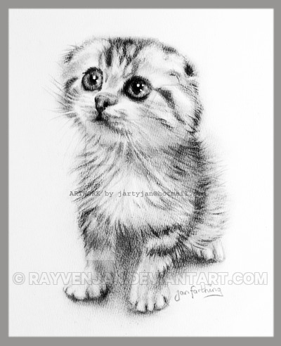 400x492 Cute Kitten Drawing Sold - Cute Kitten Drawing