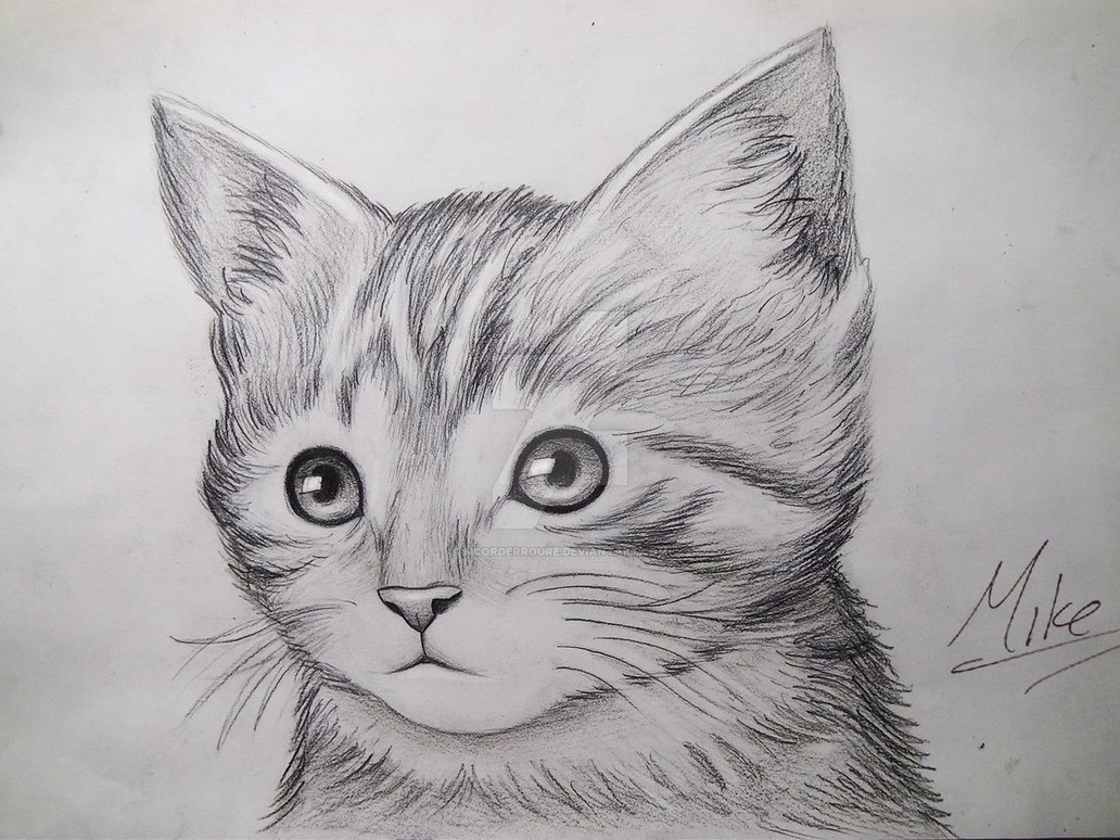 1032x774 cute kitty drawing - Cute Kitty Drawing