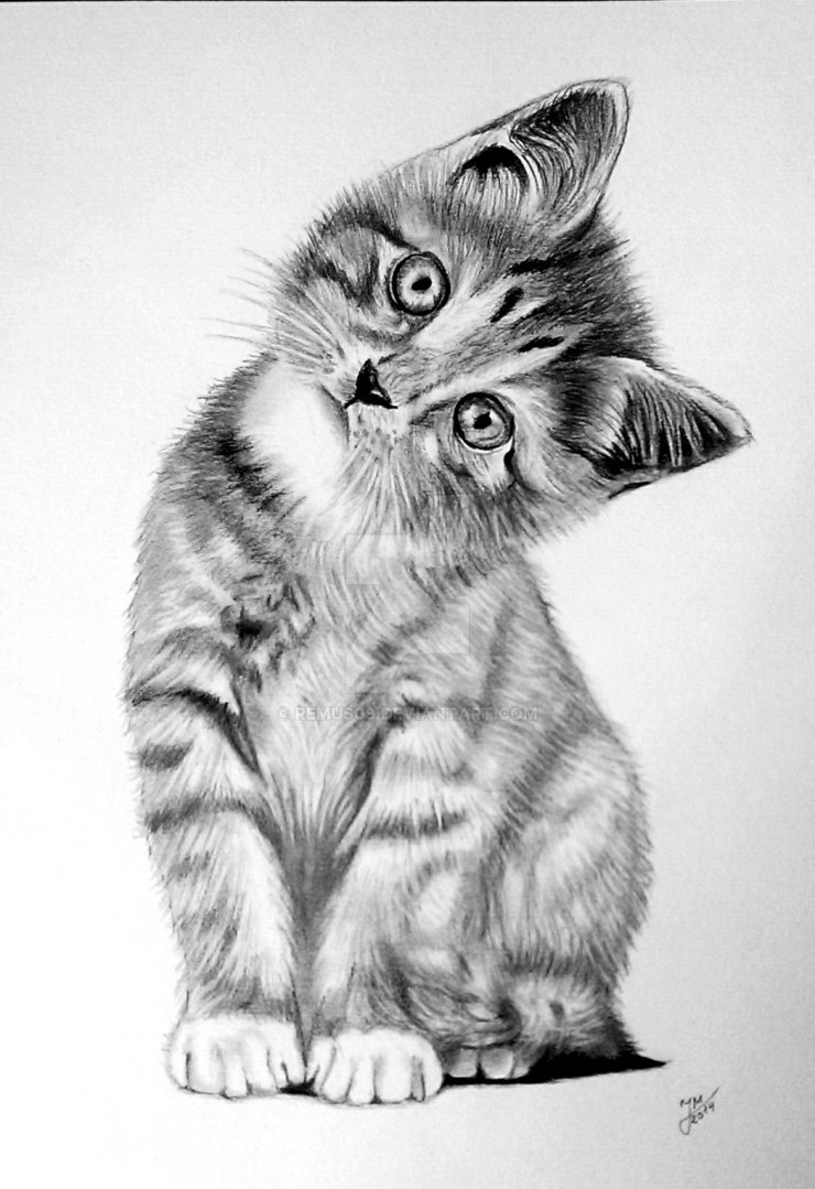 Рисовать красивых котиков