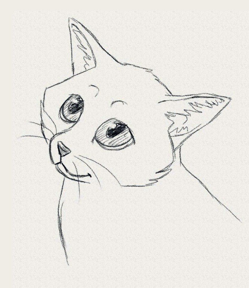 832x960 Kitten Lineart Cool Cat For Free Download - Cute Kitty Drawing