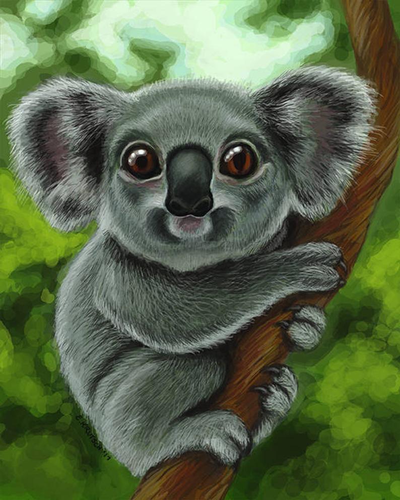 Cute Koala Bear Drawing at PaintingValley.com | Explore ...