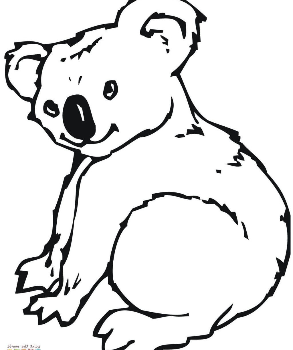 Download Cute Koala Bear Drawing at PaintingValley.com | Explore ...