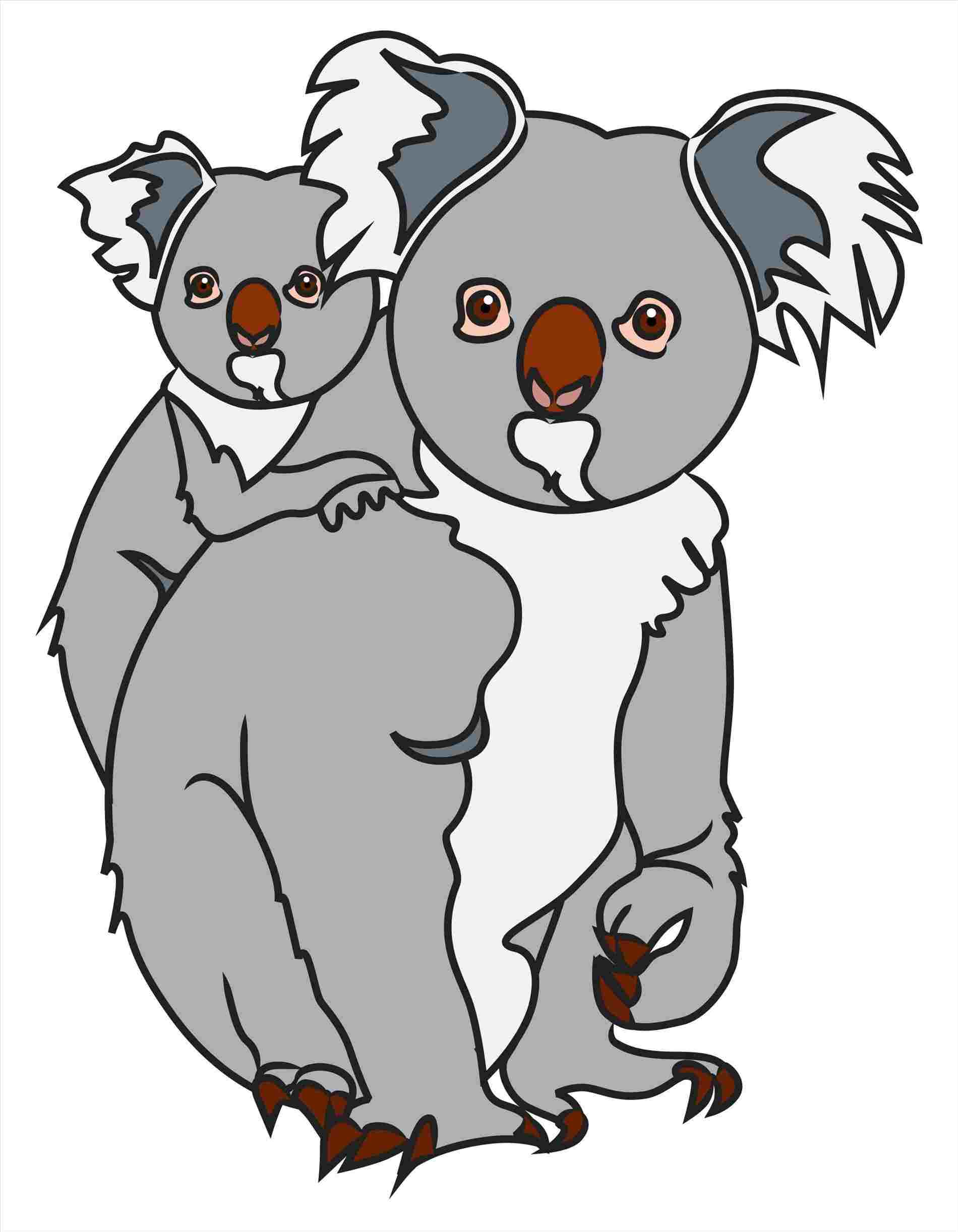1900x2444 to draw s steps with rhdrawingforkidscom - Cute Koala Bear Drawing