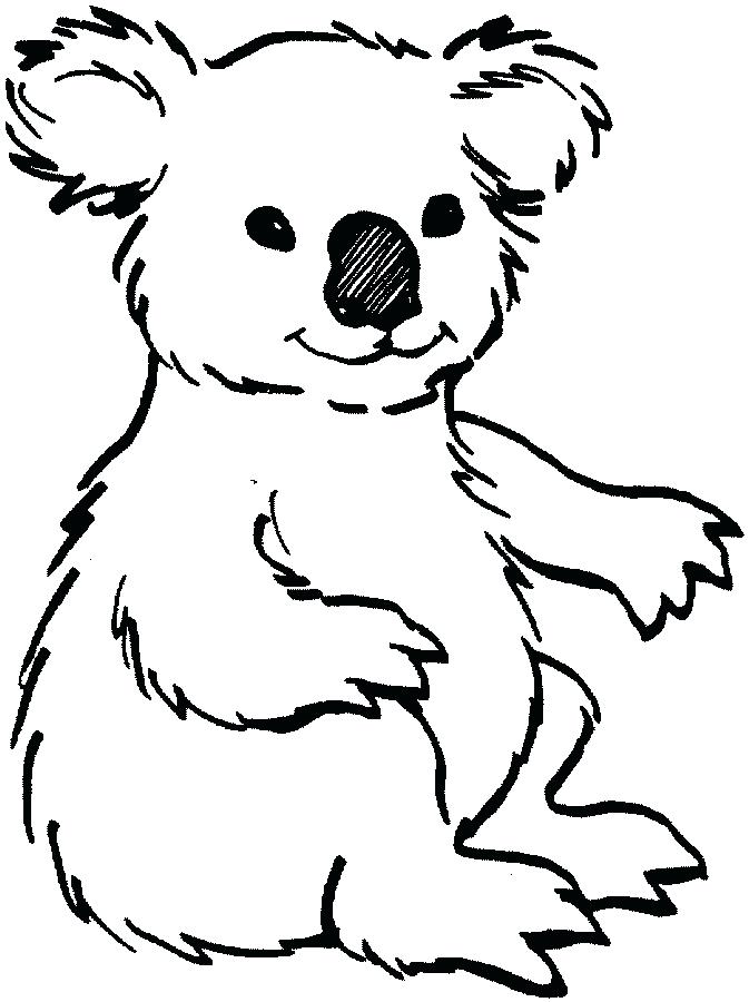 673x900 cute koala bear drawing - Cute Koala Bear Drawing