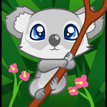 220x220 How To Draw How To Draw A Koala For Kids - Cute Koala Drawing