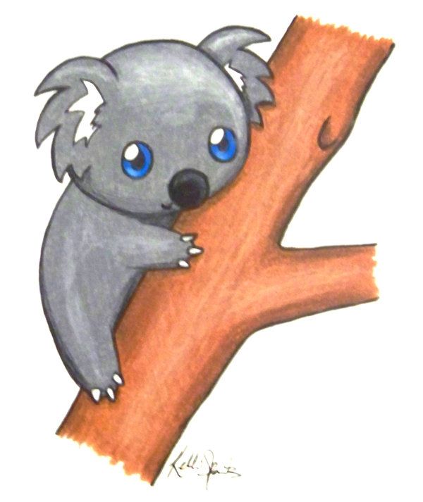 600x713 cute koalas cute koala bear drawings how to draw koala bears - Cute Koala Drawing