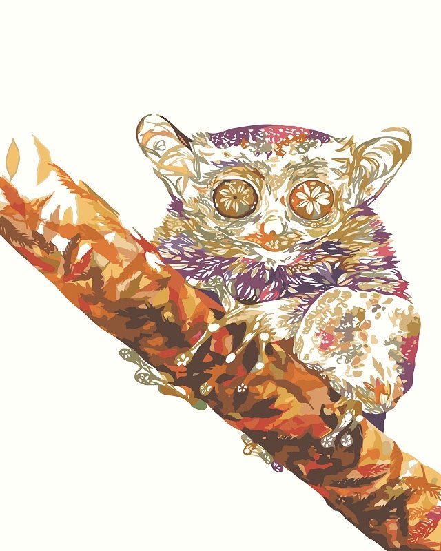 640x800 Large Size Pictures - Cute Koala Drawing