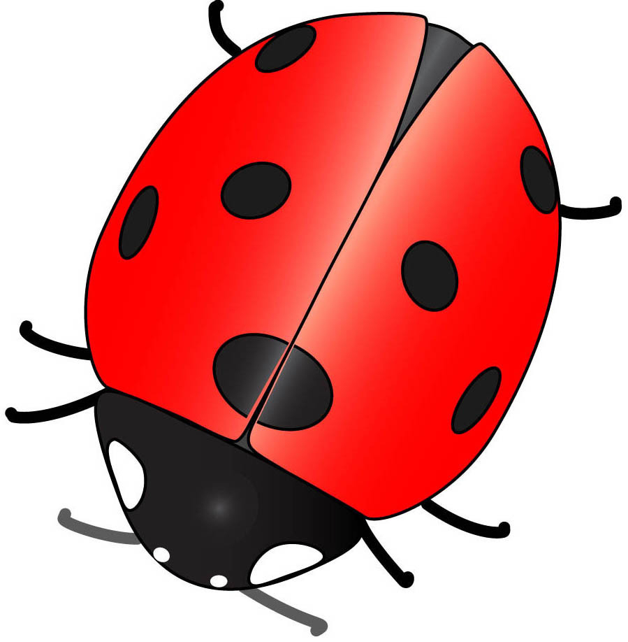 Ladybug Cartoon Drawing And Best Photos Of Cute Ladybug Drawings - Cute Lad...