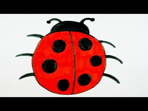 480x360 Ladybug Drawing For Kids Cute! - Cute Ladybug Drawing