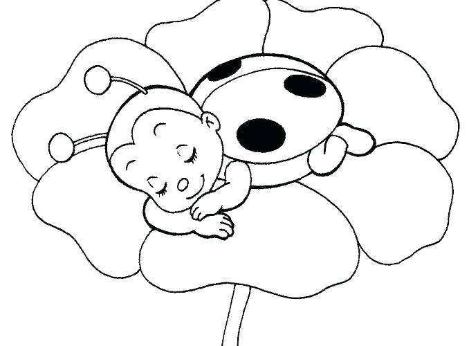 678x500 Cute Coloring Pictures Of Owls Pages Baby Ladybug Drawing At Com - Cute Ladybug Drawing