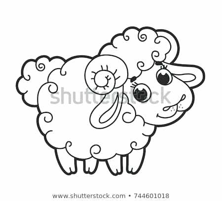 Cute Lamb Drawing at PaintingValley.com | Explore collection of Cute ...